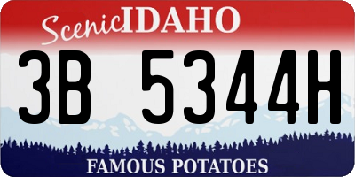 ID license plate 3B5344H