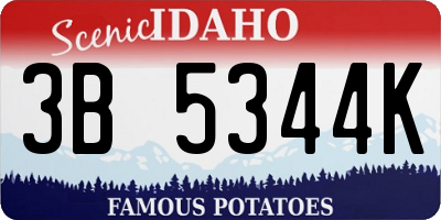 ID license plate 3B5344K