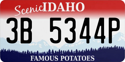 ID license plate 3B5344P