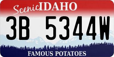ID license plate 3B5344W