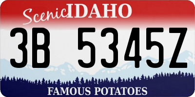 ID license plate 3B5345Z