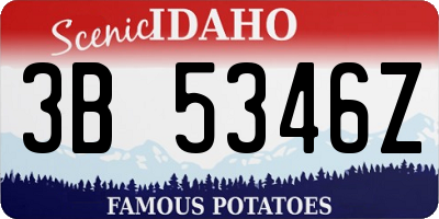 ID license plate 3B5346Z