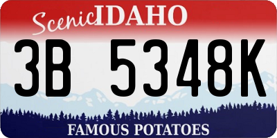 ID license plate 3B5348K