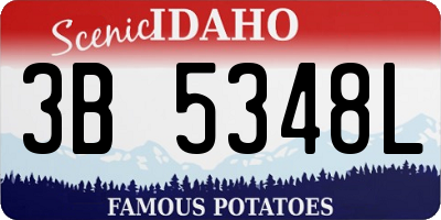 ID license plate 3B5348L