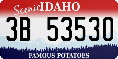 ID license plate 3B5353O