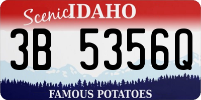 ID license plate 3B5356Q