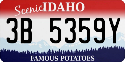 ID license plate 3B5359Y