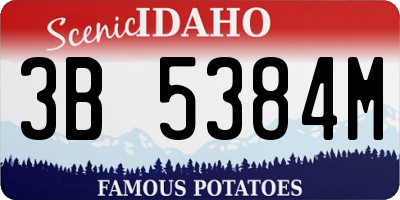 ID license plate 3B5384M