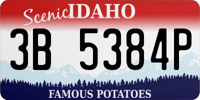 ID license plate 3B5384P