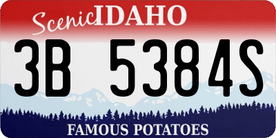 ID license plate 3B5384S