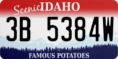 ID license plate 3B5384W