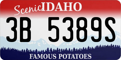 ID license plate 3B5389S