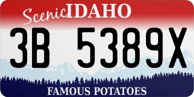 ID license plate 3B5389X