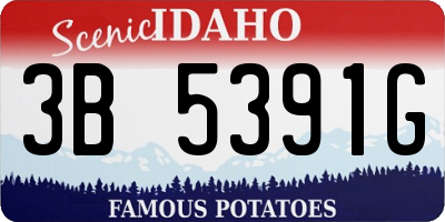 ID license plate 3B5391G