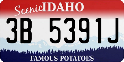 ID license plate 3B5391J