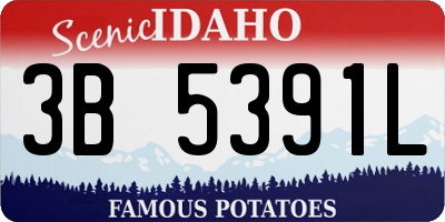 ID license plate 3B5391L