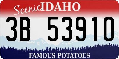 ID license plate 3B5391O