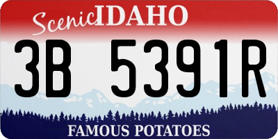 ID license plate 3B5391R