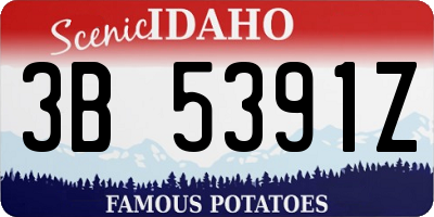 ID license plate 3B5391Z