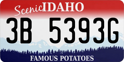 ID license plate 3B5393G