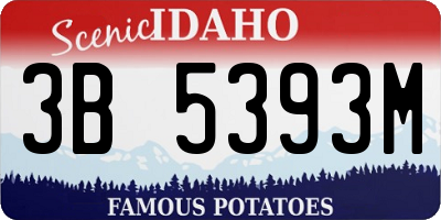 ID license plate 3B5393M