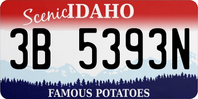 ID license plate 3B5393N