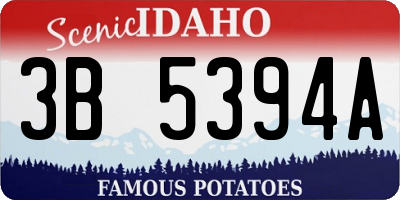 ID license plate 3B5394A