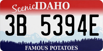 ID license plate 3B5394E