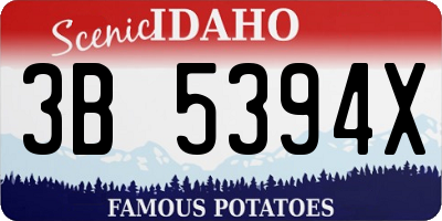ID license plate 3B5394X
