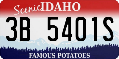 ID license plate 3B5401S