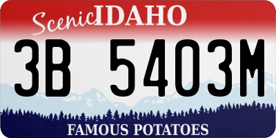 ID license plate 3B5403M