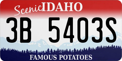 ID license plate 3B5403S