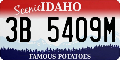 ID license plate 3B5409M