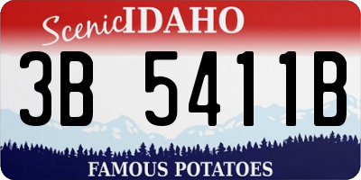 ID license plate 3B5411B