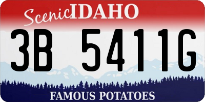 ID license plate 3B5411G