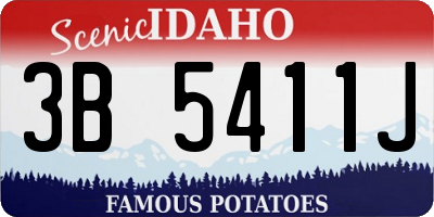 ID license plate 3B5411J