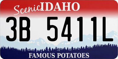 ID license plate 3B5411L