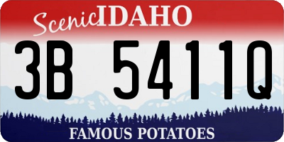 ID license plate 3B5411Q