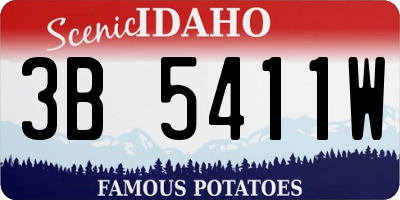 ID license plate 3B5411W