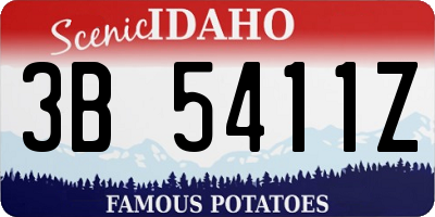 ID license plate 3B5411Z