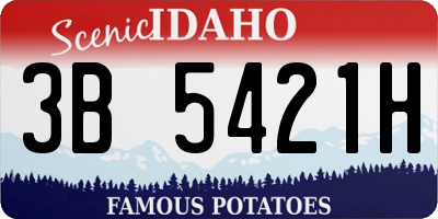 ID license plate 3B5421H
