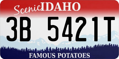 ID license plate 3B5421T