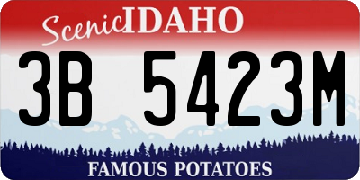 ID license plate 3B5423M