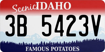 ID license plate 3B5423V