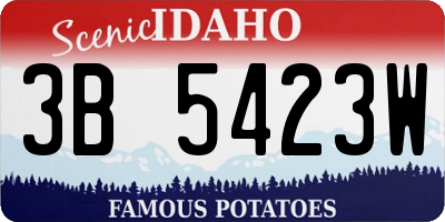ID license plate 3B5423W
