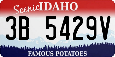 ID license plate 3B5429V