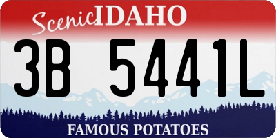 ID license plate 3B5441L