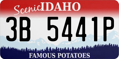 ID license plate 3B5441P