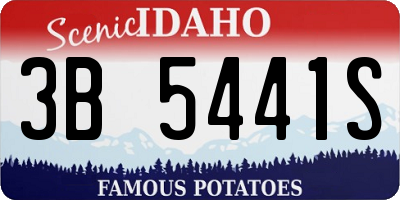 ID license plate 3B5441S