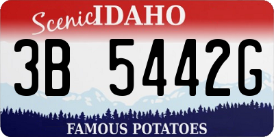 ID license plate 3B5442G